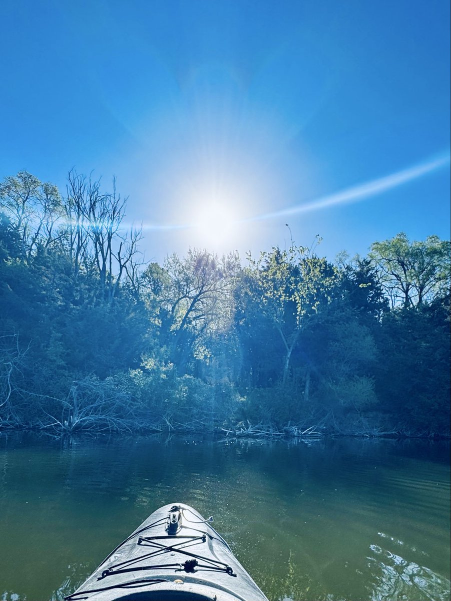 john_nohr's tweet photo. A beautiful, calm morning for a paddle on Lake Mitchell. Along the shoreline, everything is springing to life: the soft light-green leaves of the Russian olive, the old cedar tree lying horizontally across the water, and the blossoming honeysuckle. Turtles are out in full force. https://t.co/KWXf81IZjI