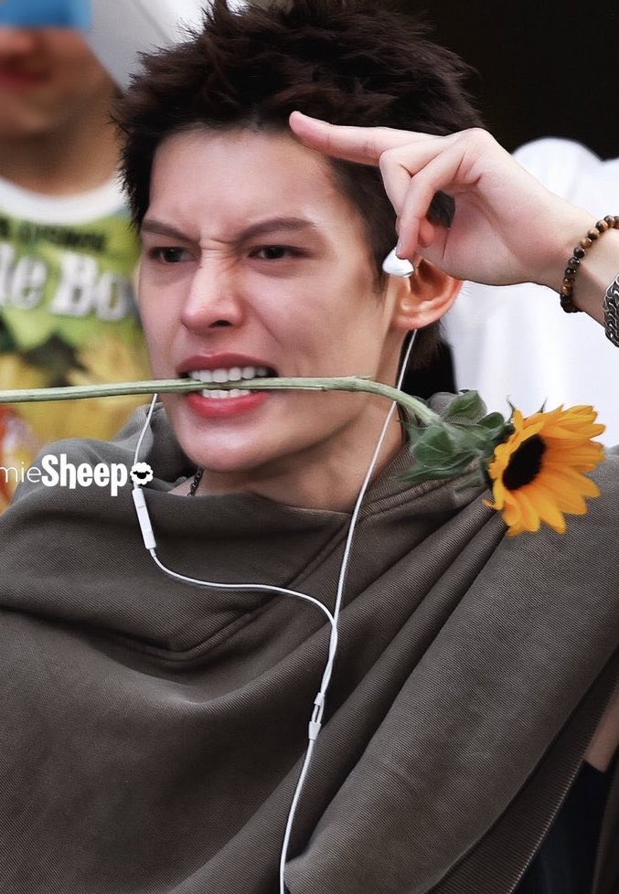 dailyjames tweet media