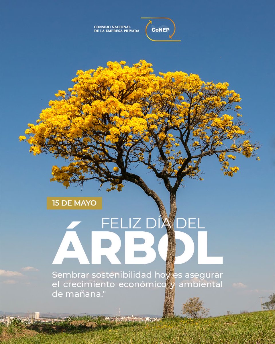 Consejo Nacional de la Empresa Privada tweet media