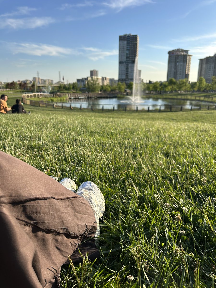 eternal sunshine. 🦢 tweet media