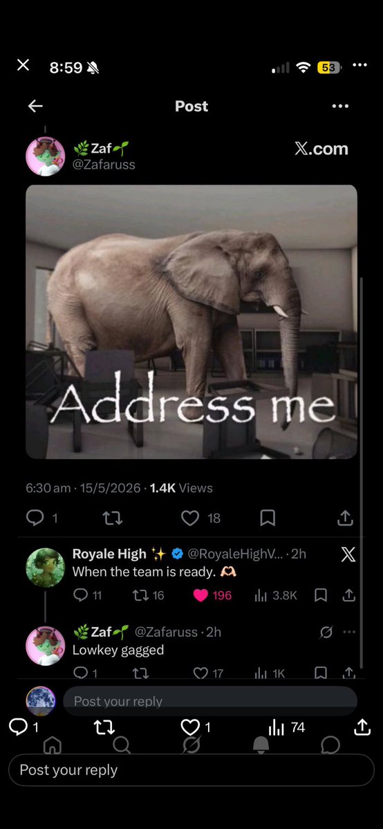 Marie tweet media
