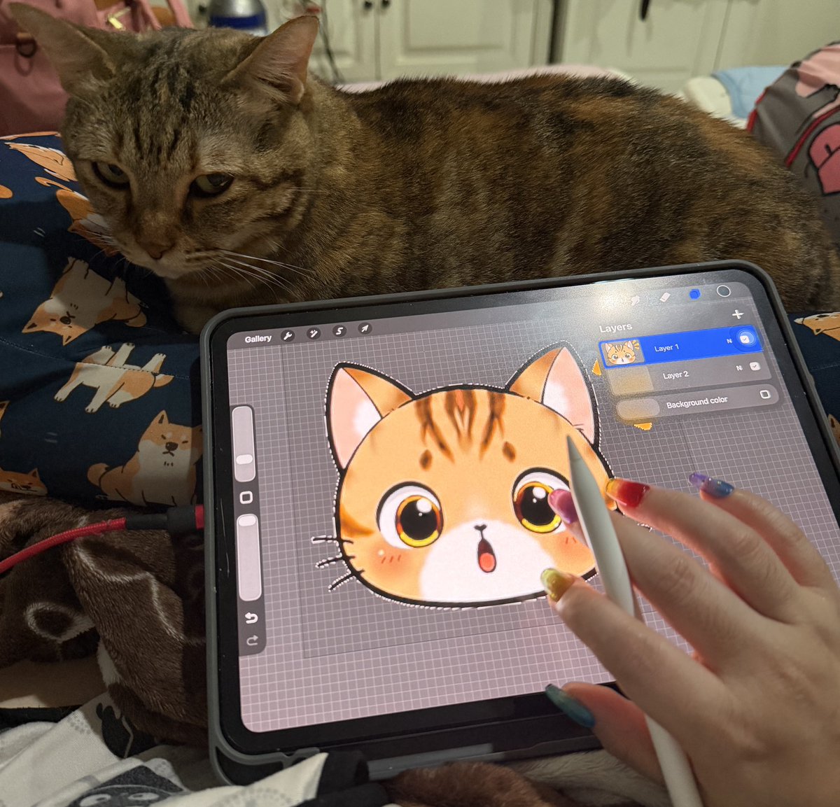 𝓢𝓱𝓪𝓢𝓱𝓪 ≽^•⩊•^≼ (Haitus🥹) tweet media