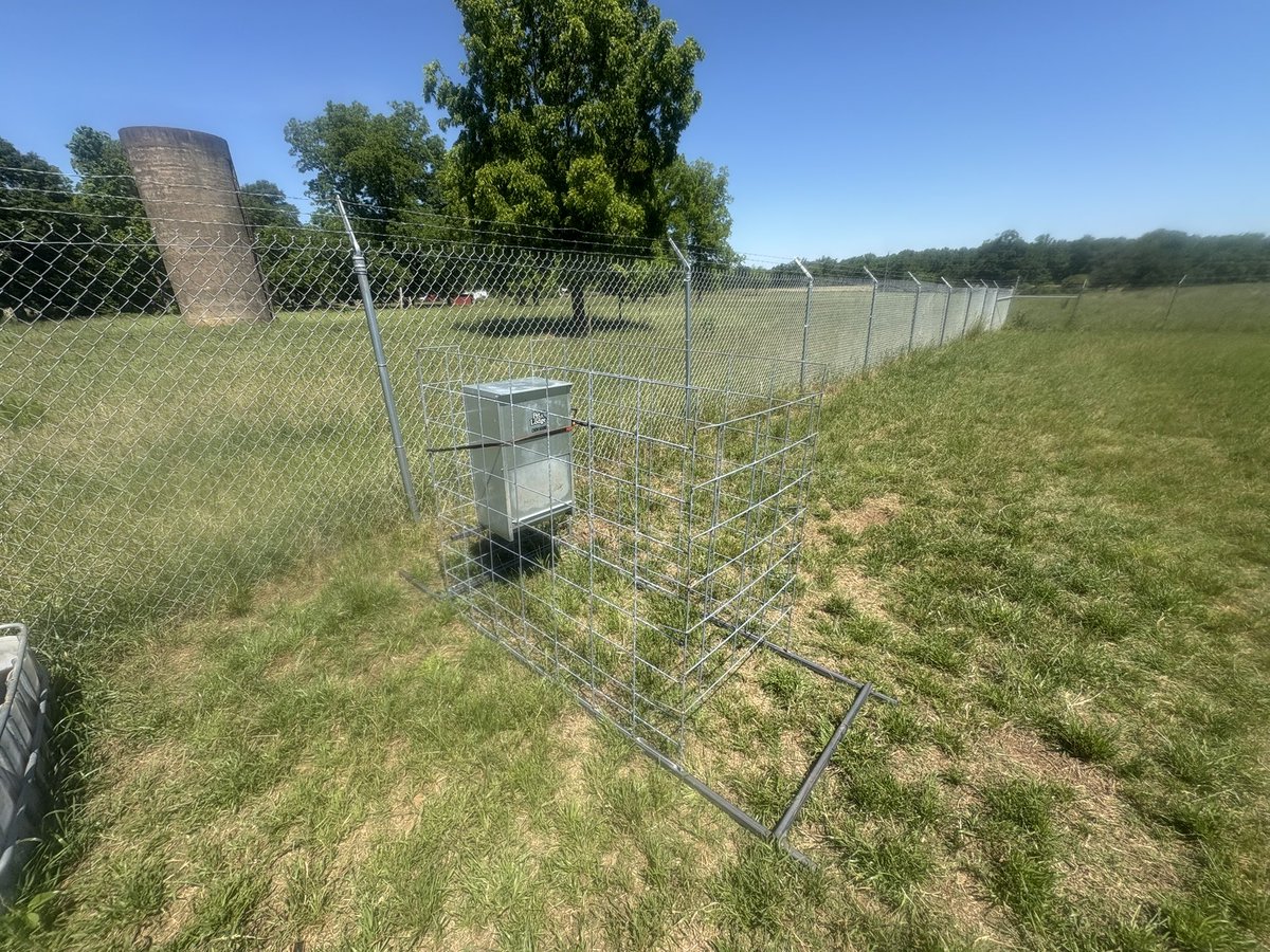 Homesteading4sovereignty tweet media