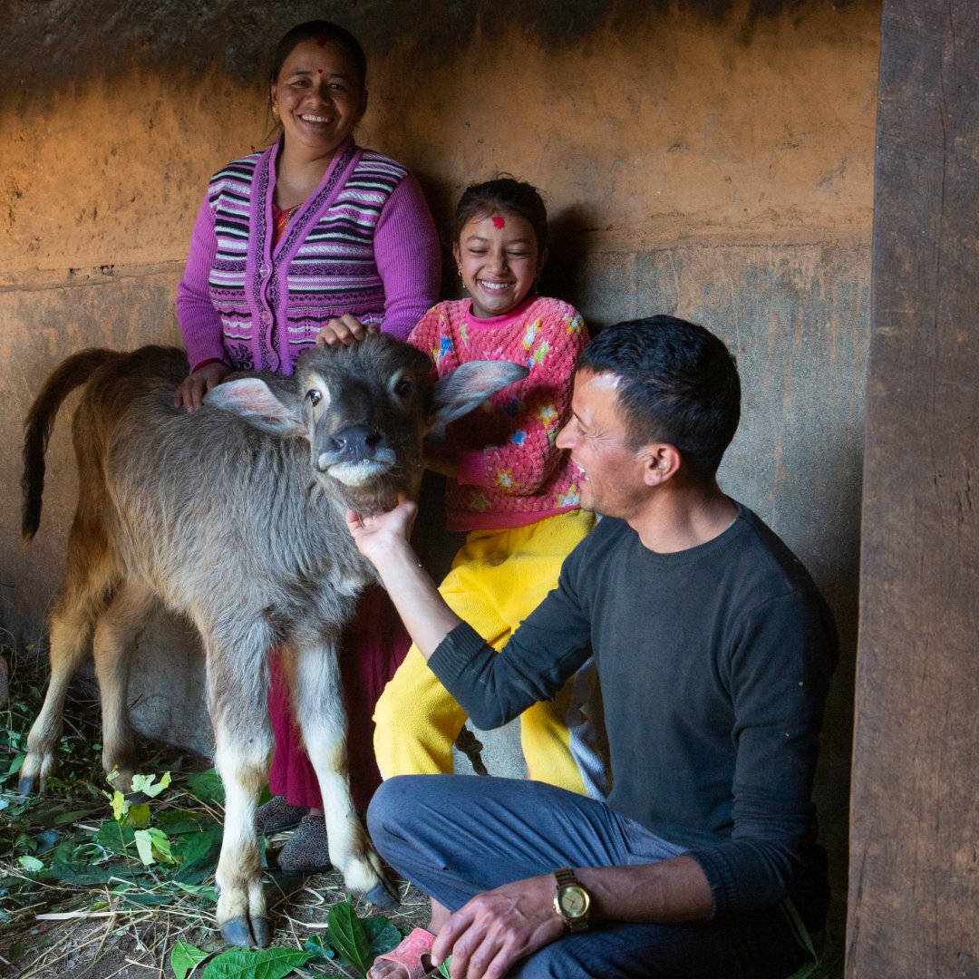 Heifer International tweet media