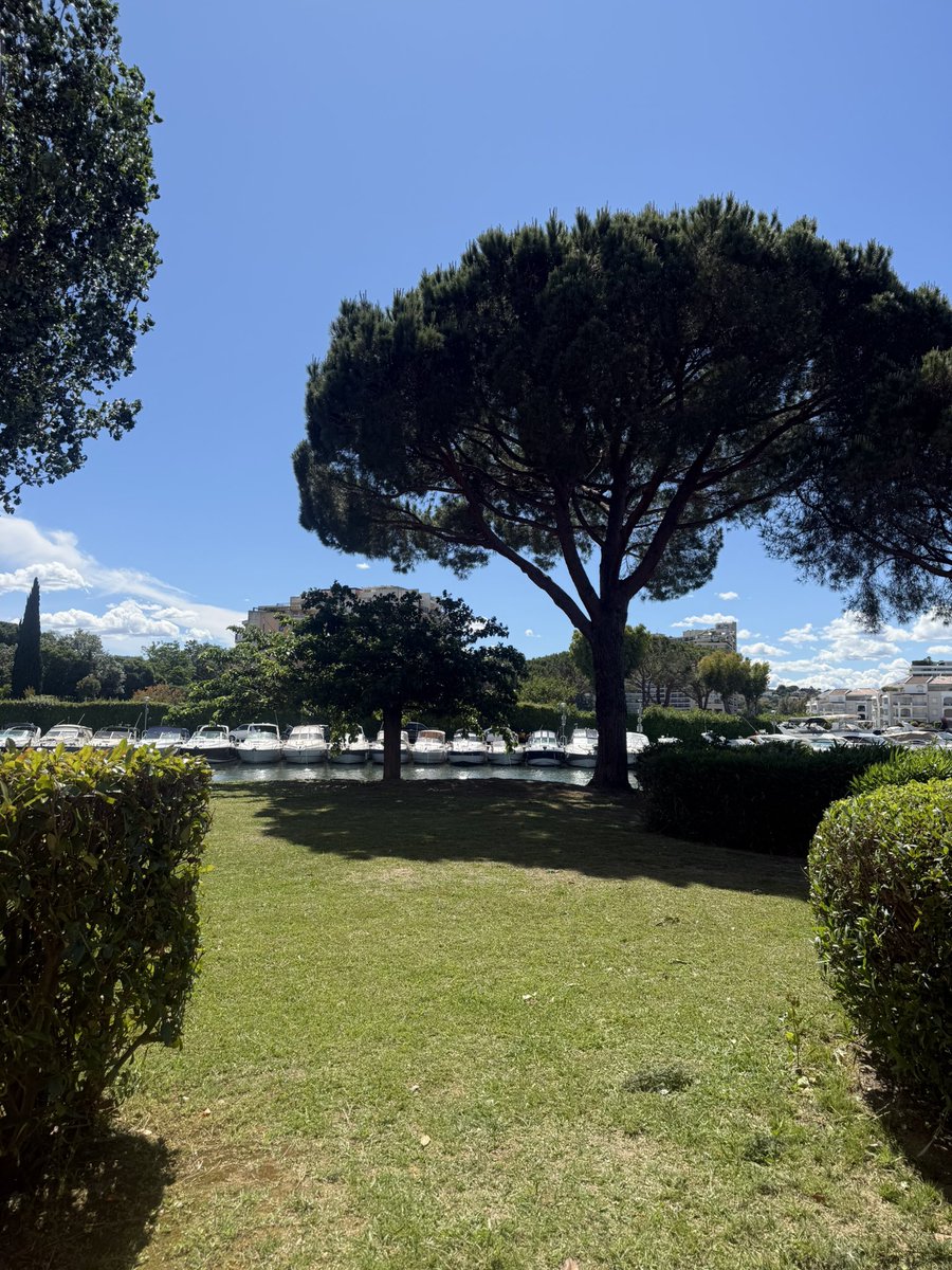 batesyab's tweet photo. Arrived yesterday in Cannes for the film festival! Invited to the BBC Studioworks party tonight! Glorious weather, fabulous location and our accommodation has a lovely river and harbour view! 😎💃 https://t.co/DkU0vuR9ua