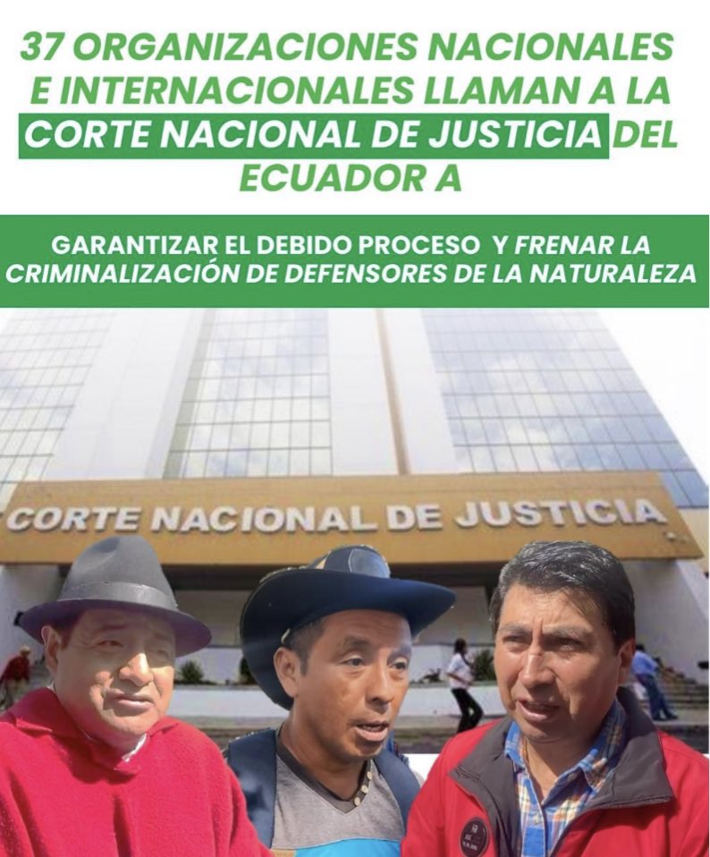 Alianza de Organizaciones por los Derechos Humanos tweet media