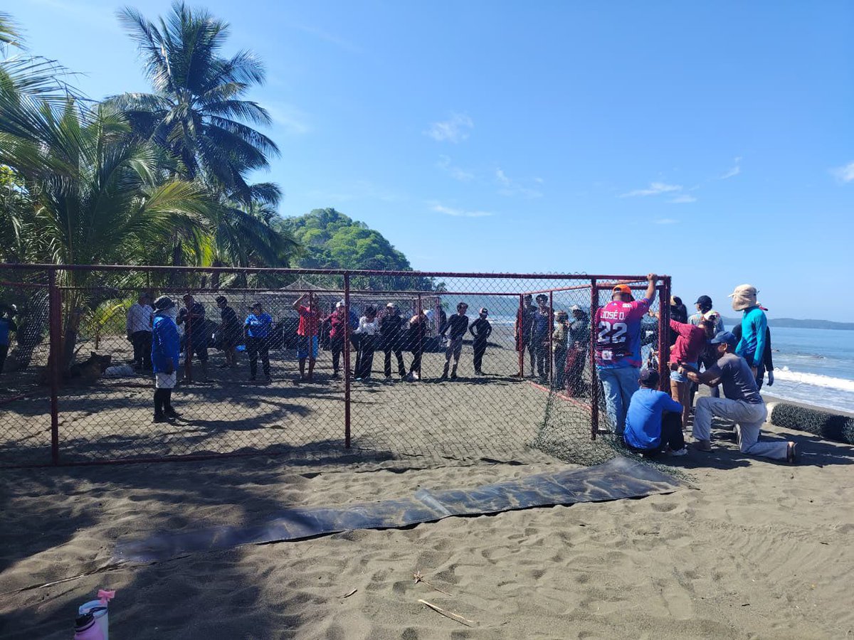 destinopanama_'s tweet photo. Con miras al inicio de la temporada de anidación de tortugas marinas 2026, MiAmbiente se realizó trabajos de rehabilitación de las estructuras de viveros para la conservación de tortugas marinas en Playa Malena, distrito de Mariato en Veraguas. https://t.co/NSAPT6mV07
