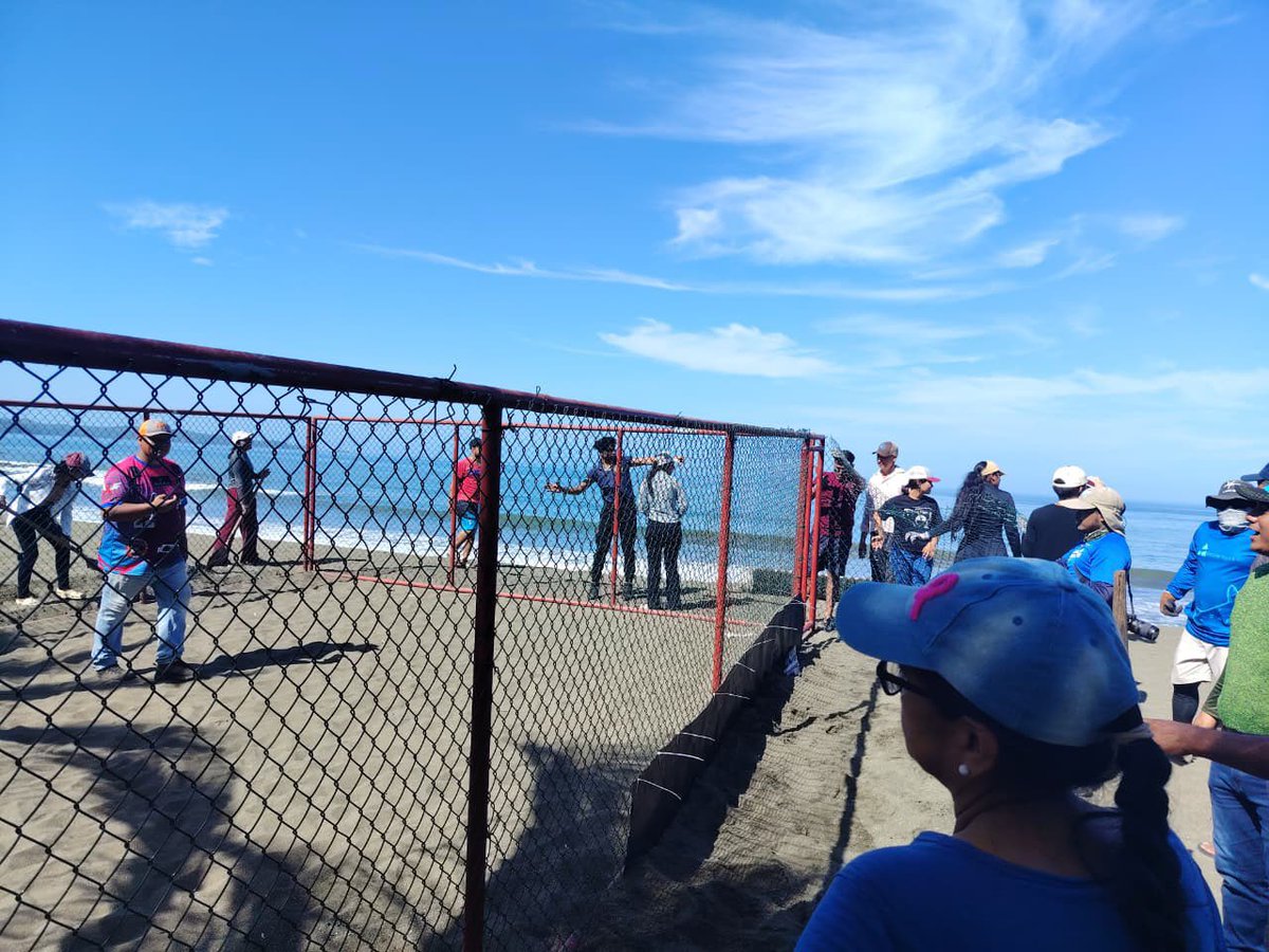 destinopanama_'s tweet photo. Con miras al inicio de la temporada de anidación de tortugas marinas 2026, MiAmbiente se realizó trabajos de rehabilitación de las estructuras de viveros para la conservación de tortugas marinas en Playa Malena, distrito de Mariato en Veraguas. https://t.co/NSAPT6mV07