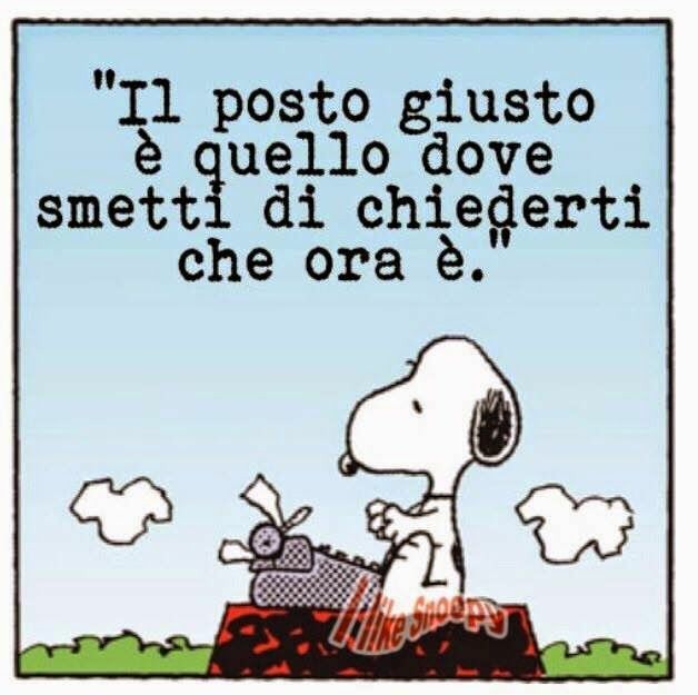 Casa Lettori tweet media