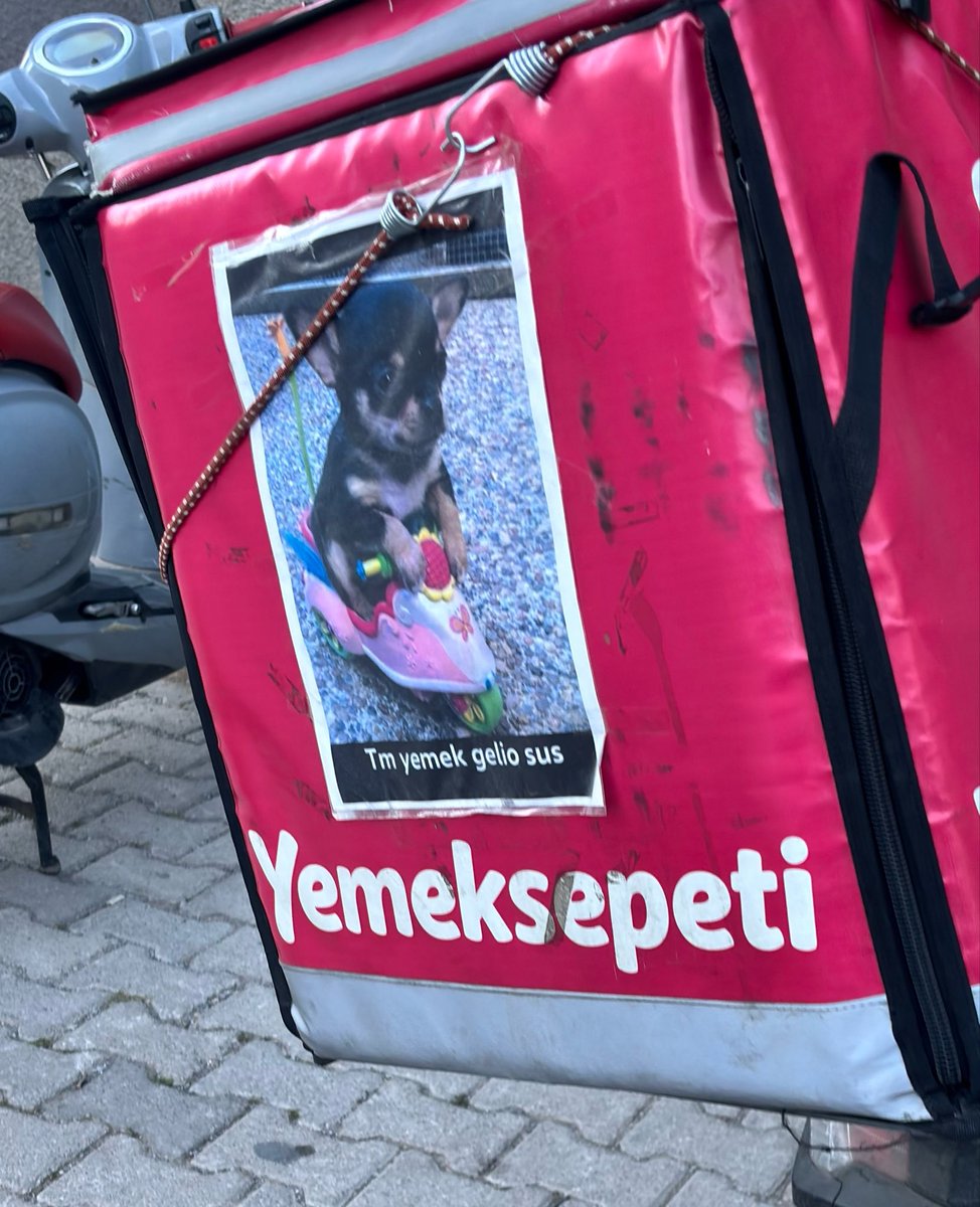 annen tweet media