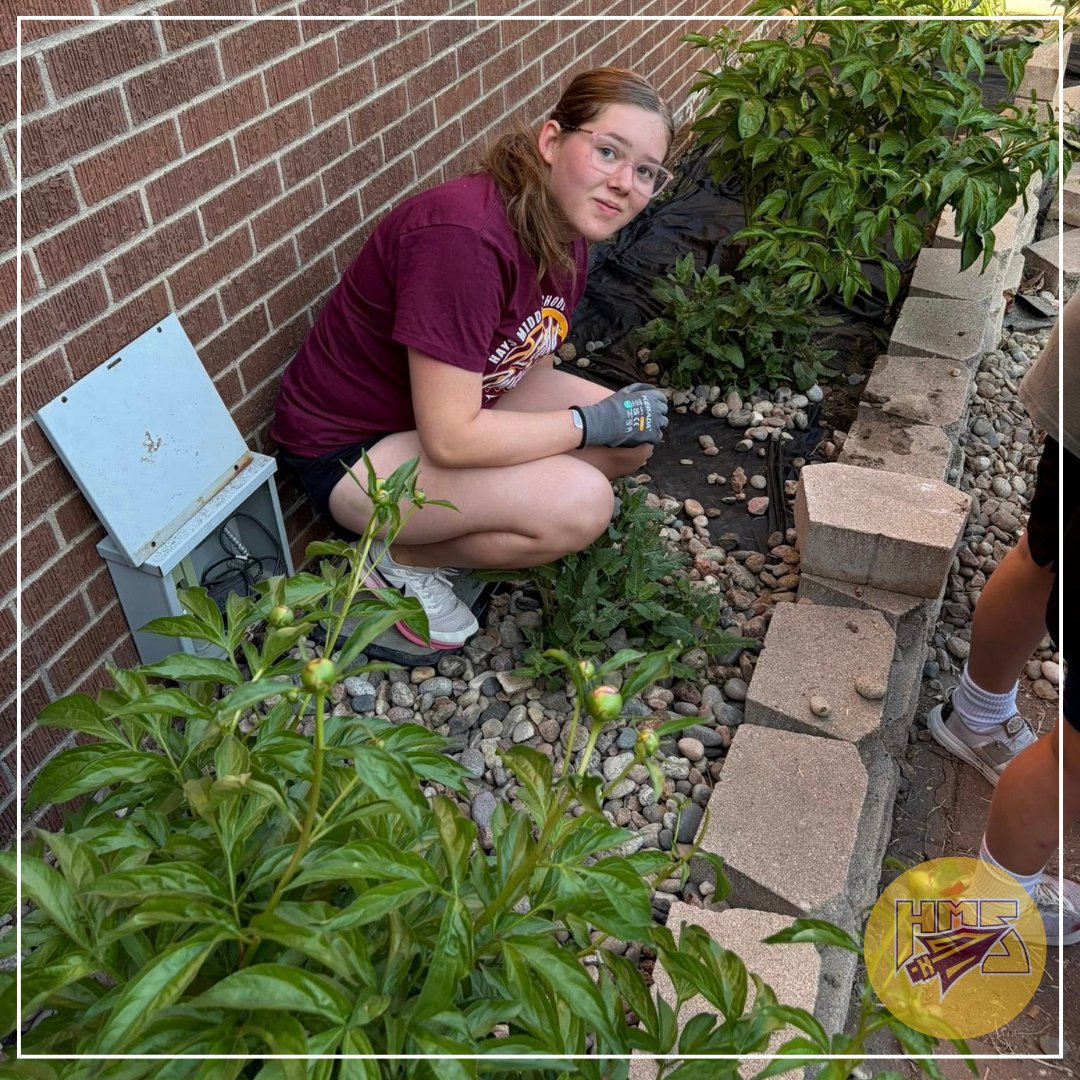 hays489's tweet photo. Out with the old and the weeds and in with the new and improved!  Hays Middle School JAG-K students worked so hard and it shows. They took on the dilapidated patio outside the library and turned it into a great reading oasis for everyone to enjoy!

#EveryStudentEveryDay489 https://t.co/DuwkGAxBos
