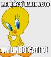 roqueaguero tweet media