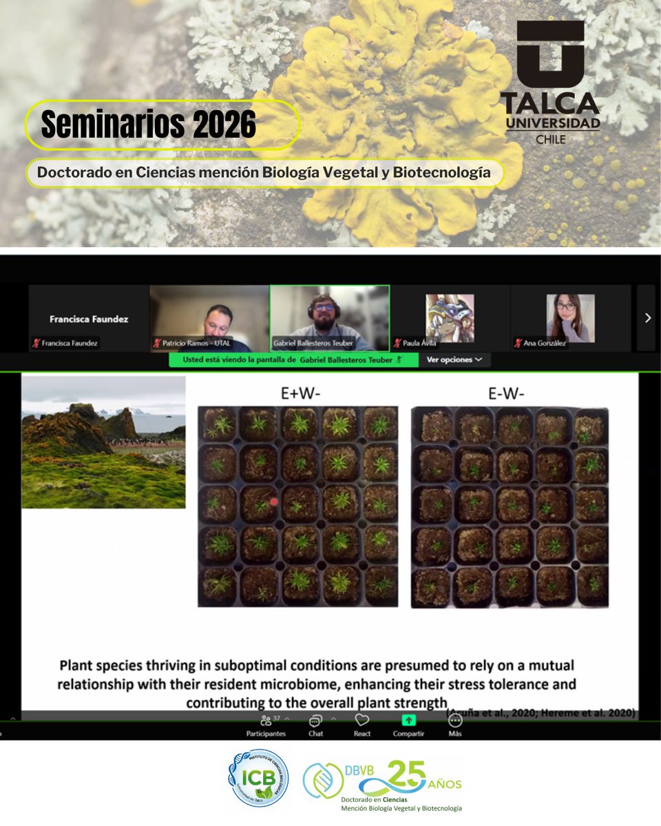 dbvb_utalca's tweet photo. 🌳Les compartimos un registro de la charla online realizada ayer, en el marco del Ciclo de Seminarios del año académico 2026 del programa DBVB 🌱En esta oportunidad, se realizó la #charla: "Los hongos simbiontes: potenciando a las plantas bajo condiciones de estrés ambiental". https://t.co/2DzC8uCXkD