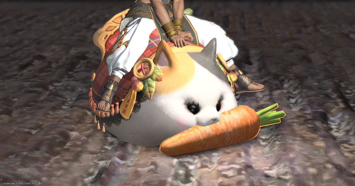 marupokodon's tweet photo. むしゃり🥕🐈 https://t.co/W0fOoOOCDm