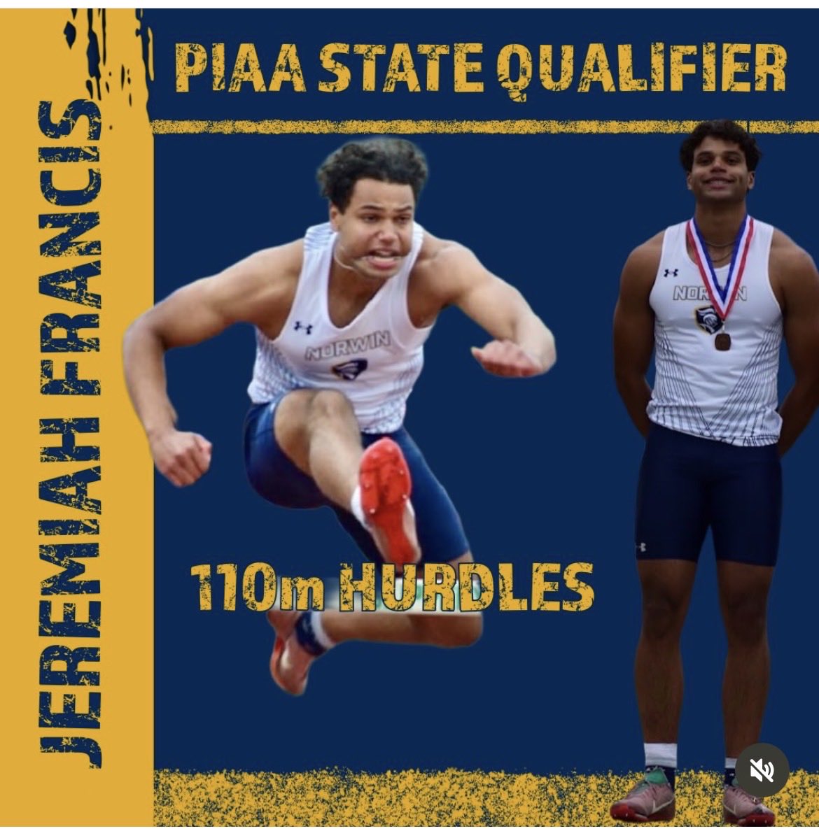 Norwin Track & Field tweet media