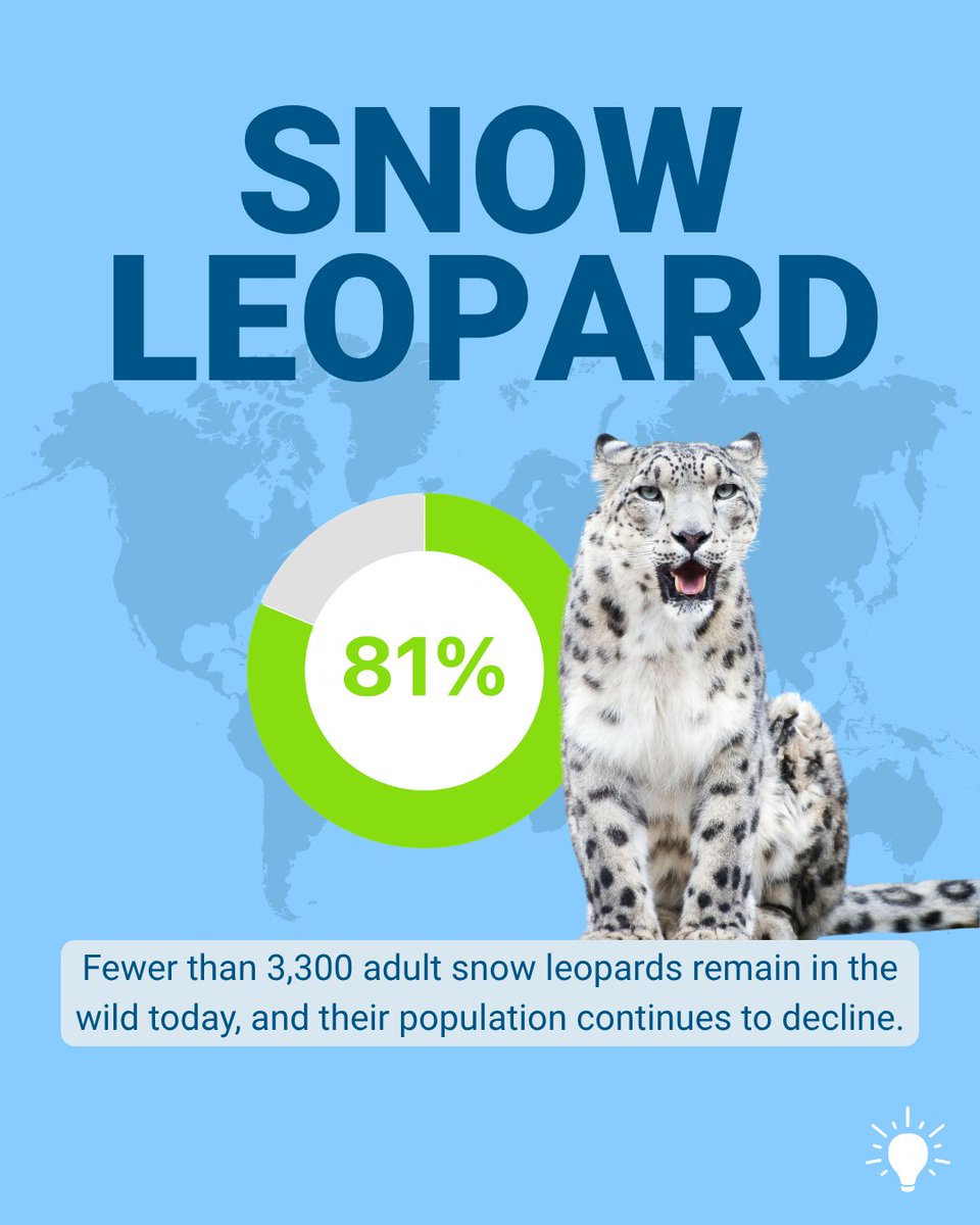 Infegy's tweet photo. In honor of Endangered Species Day, we've spotlighted some of the world's most at-risk animals and ranked them by social sentiment. With dedication and care from all of us, there's still hope of seeing these incredible species recover.
#EndangeredSpecies #InfegyInsights https://t.co/mkYZvLMwd9