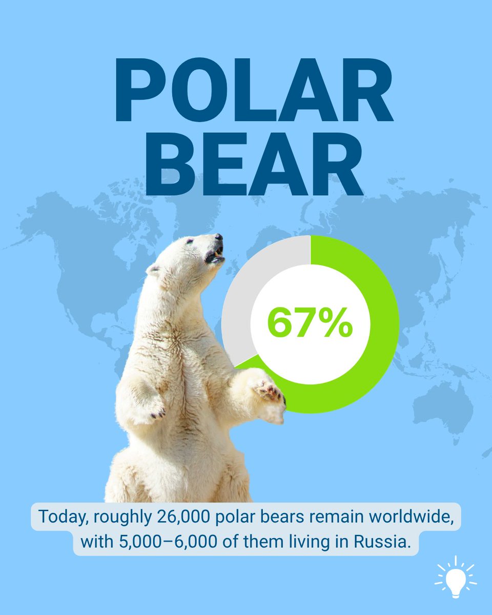 Infegy's tweet photo. In honor of Endangered Species Day, we've spotlighted some of the world's most at-risk animals and ranked them by social sentiment. With dedication and care from all of us, there's still hope of seeing these incredible species recover.
#EndangeredSpecies #InfegyInsights https://t.co/mkYZvLMwd9