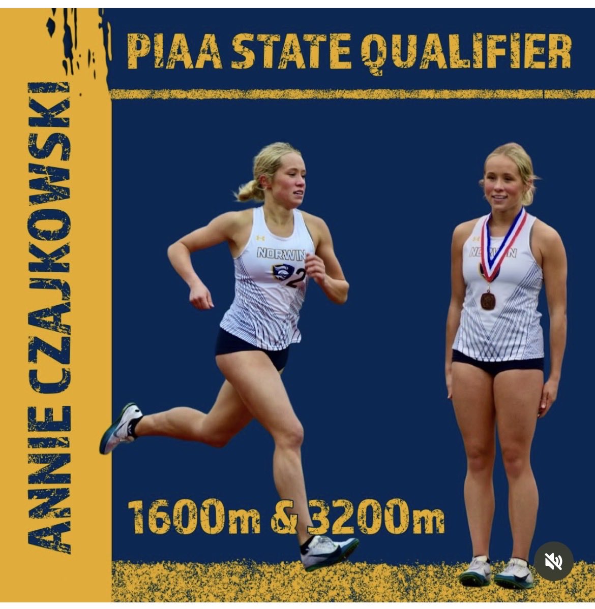 Norwin Track & Field tweet media
