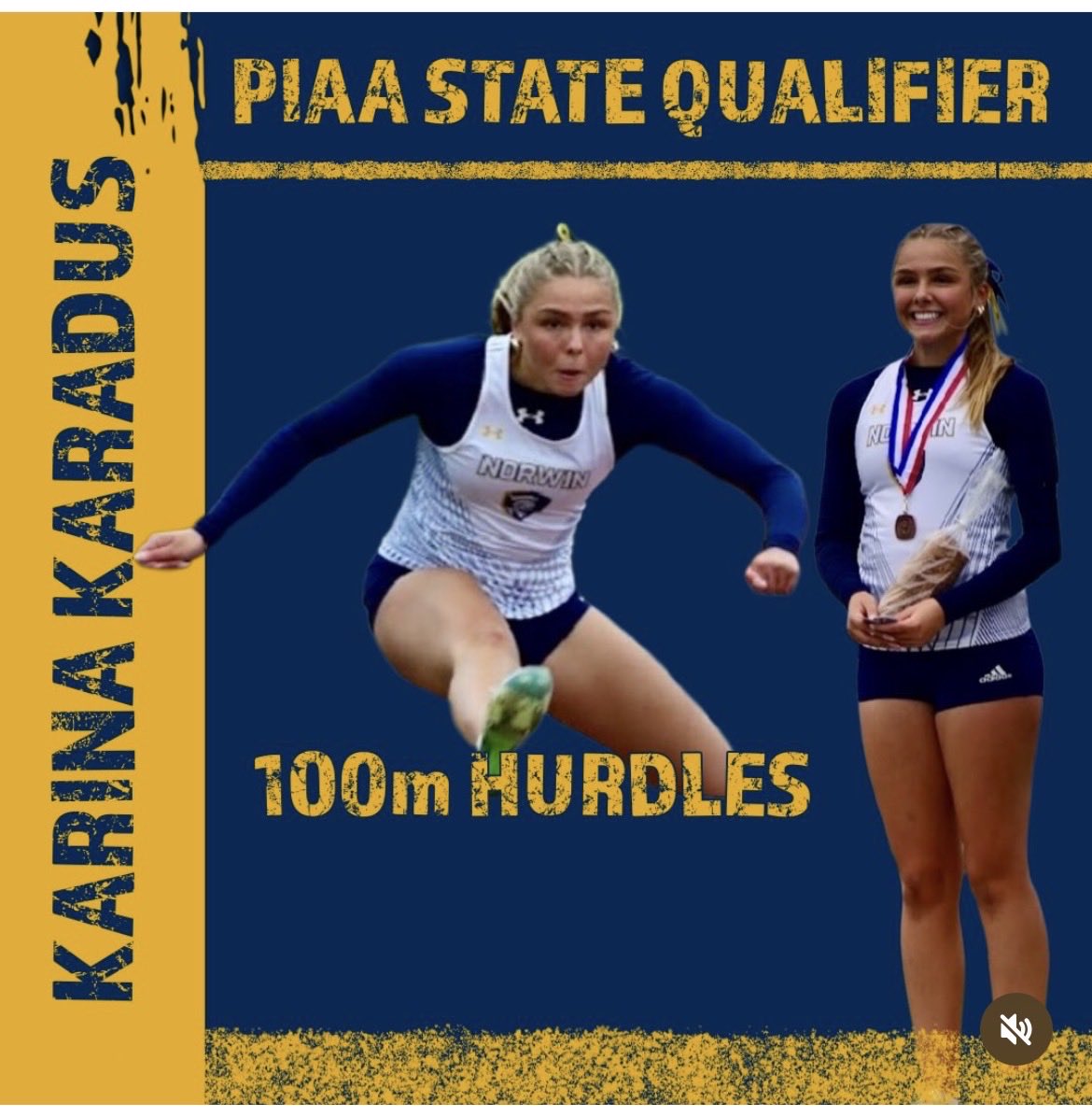 Norwin Track & Field tweet media