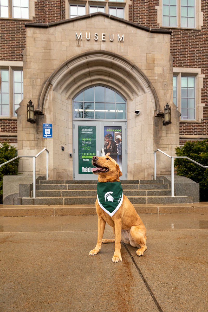 MSUMuseum's tweet photo. May is #NationalPhotographyMonth! We're looking back at a few of our favorite moments since reopening. These images reflect a major transformation, with essential infrastructure upgrades designed to protect collections and prep the MSU Museum for the next gen of exhibitions. https://t.co/szfalhmL6Z