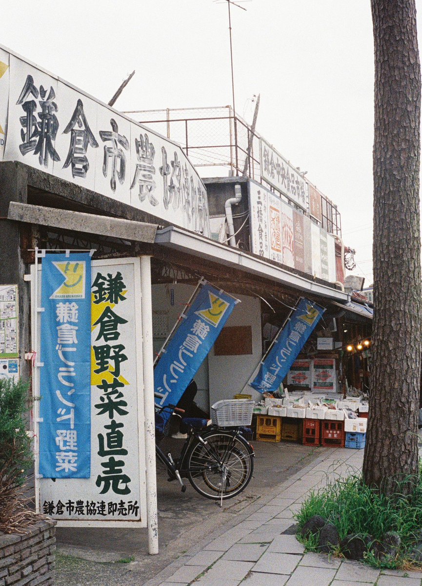 143271T's tweet photo. GWは近場で(2/3)
プリンを食べに行こうと誘われて
ちょっと寄り道も
Olympus PEN-D  FUJI400
#フィルムカメラ https://t.co/Cu5DApnCmi