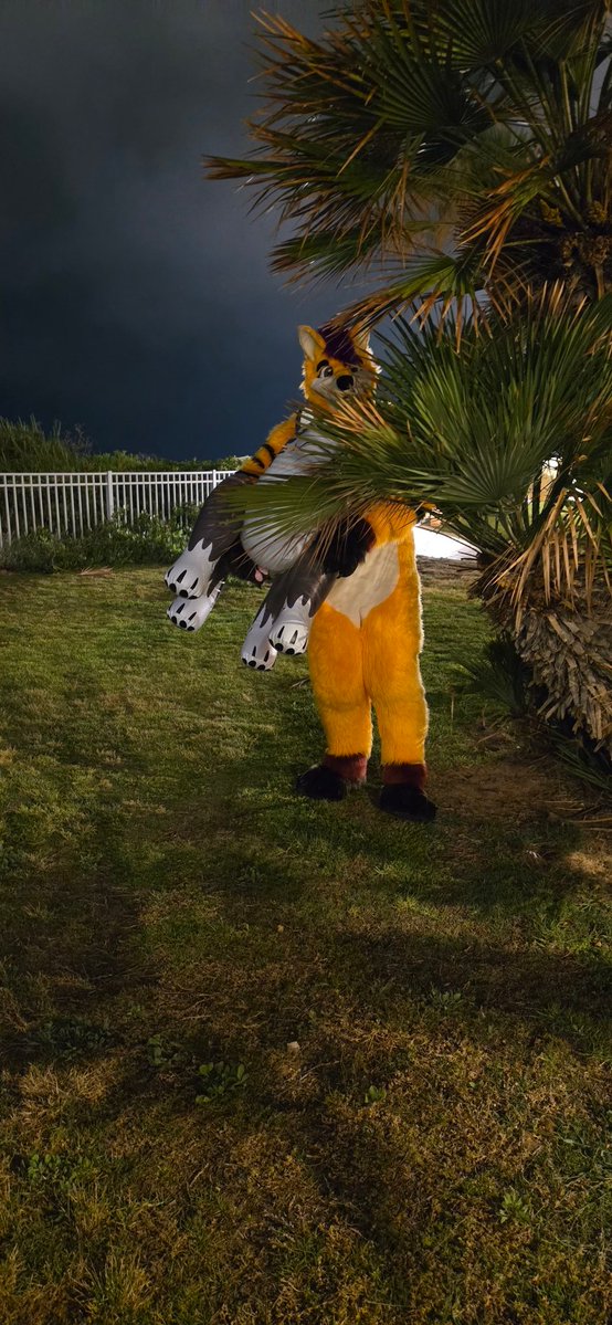 Mik Fox tweet media