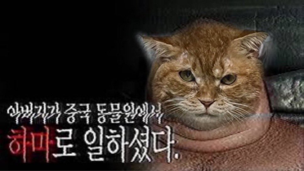 냠냠이 tweet media