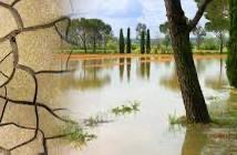 Kumaar tweet media