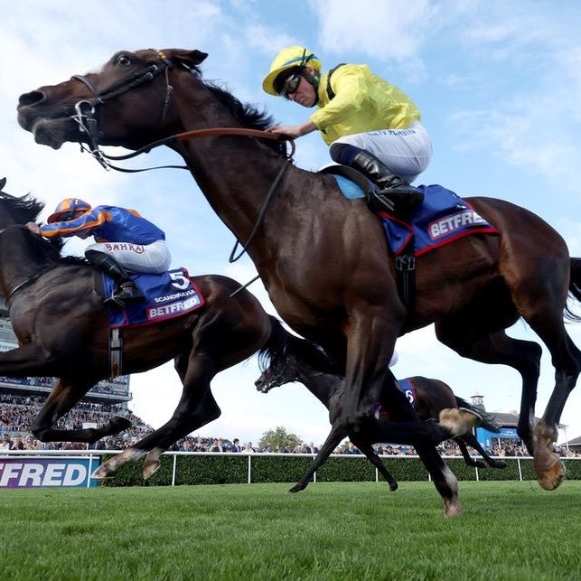 Racing Tips tweet media