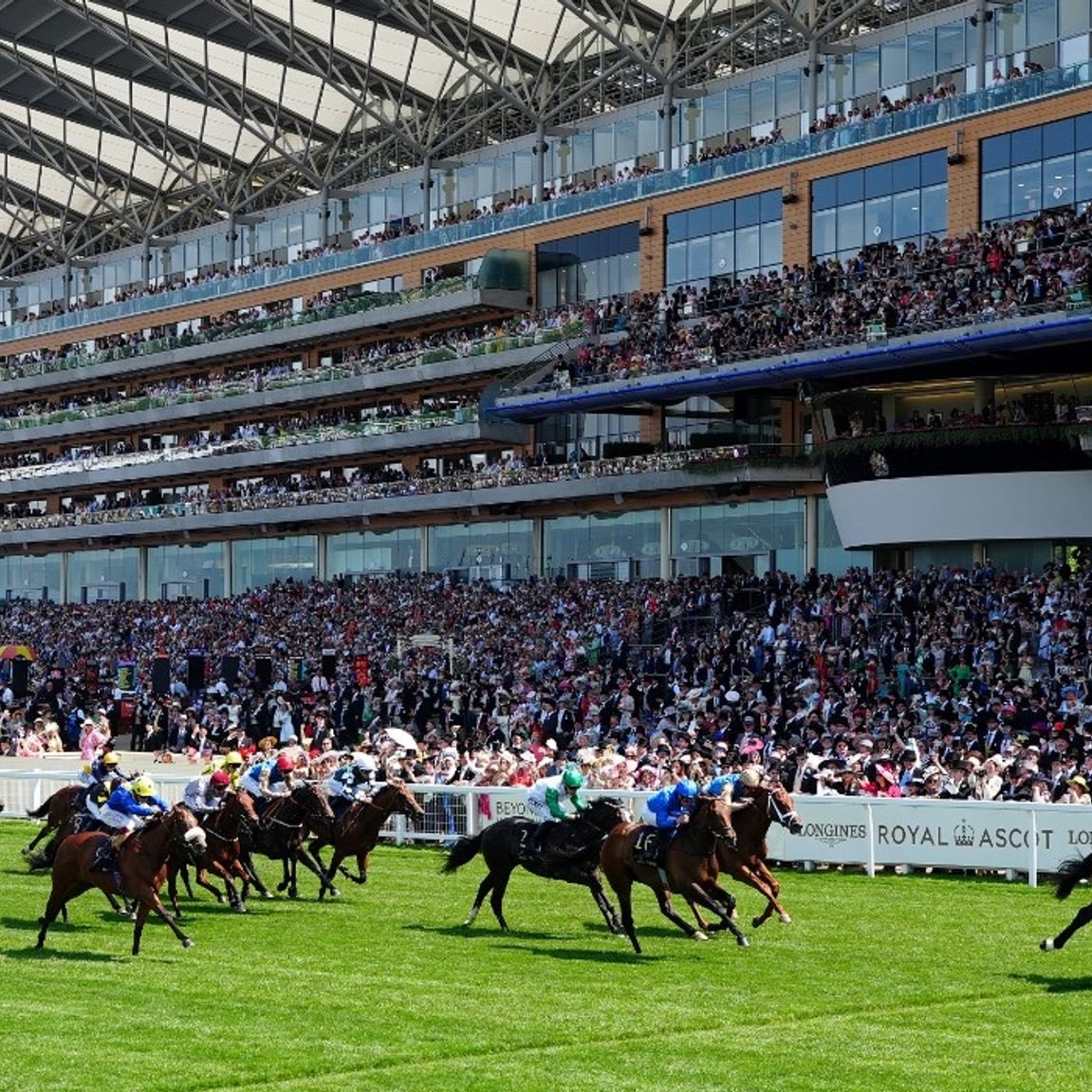 Racing Tips tweet media