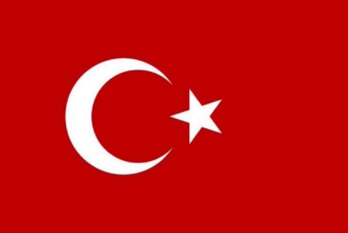 Gökçe Katun tweet media