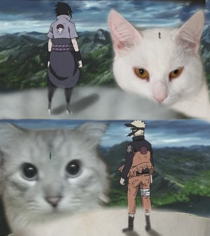 Daily Naruto tweet media