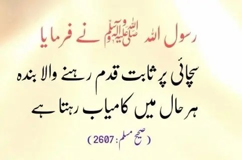 🌸Ameer khan 🇵🇰 tweet media
