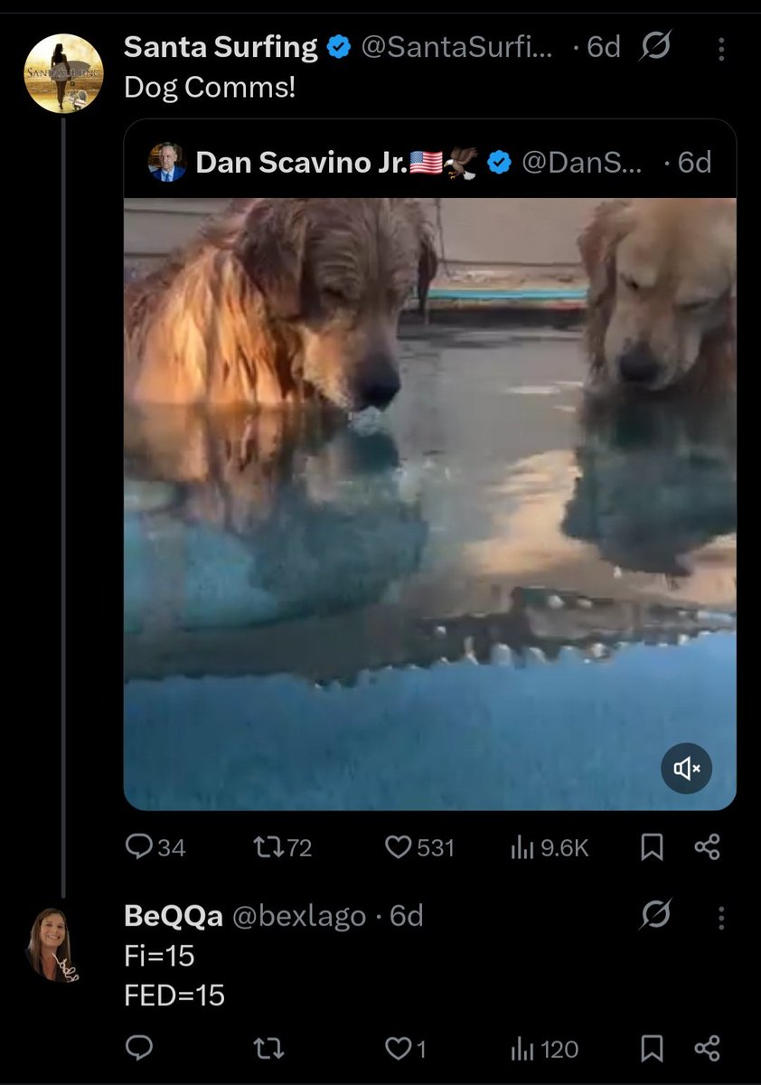 BeQQa tweet media