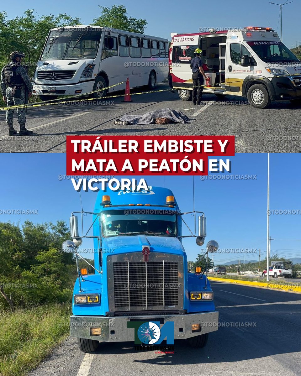 Todo Noticias tweet media