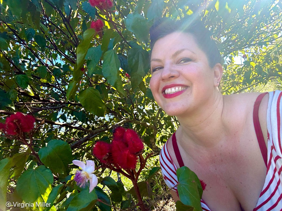 Virginia Miller tweet media