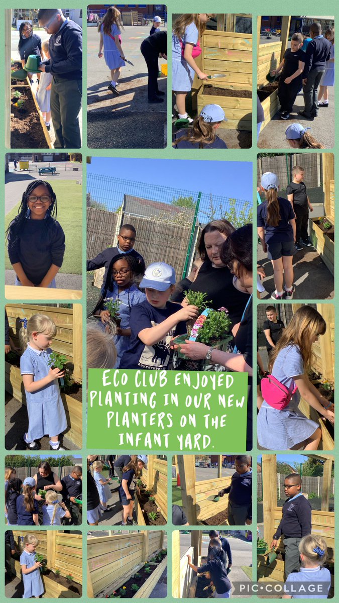 ElmClass_OLOL's tweet photo. Eco Club fun!  #EcoCouncil #MakeADifference @ololprimary_HT https://t.co/L3mQiepTpg