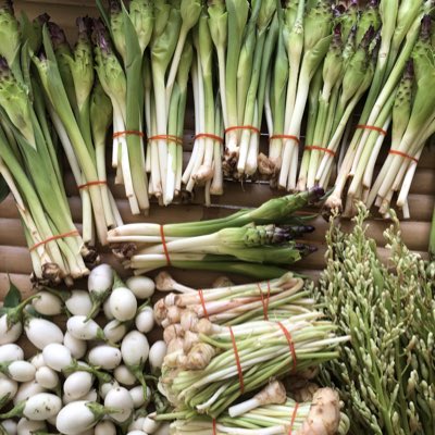 honeyorapim's tweet photo. #NewProfilePic https://t.co/AsFopPWU6U