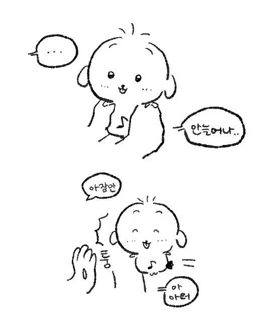 차돌박이 tweet media