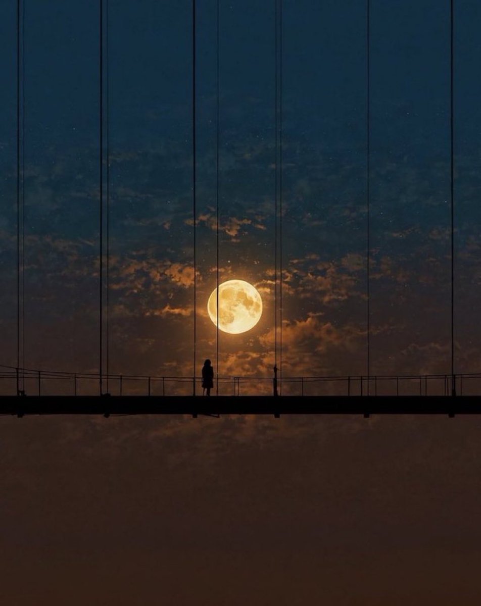 MOON LOVER tweet media