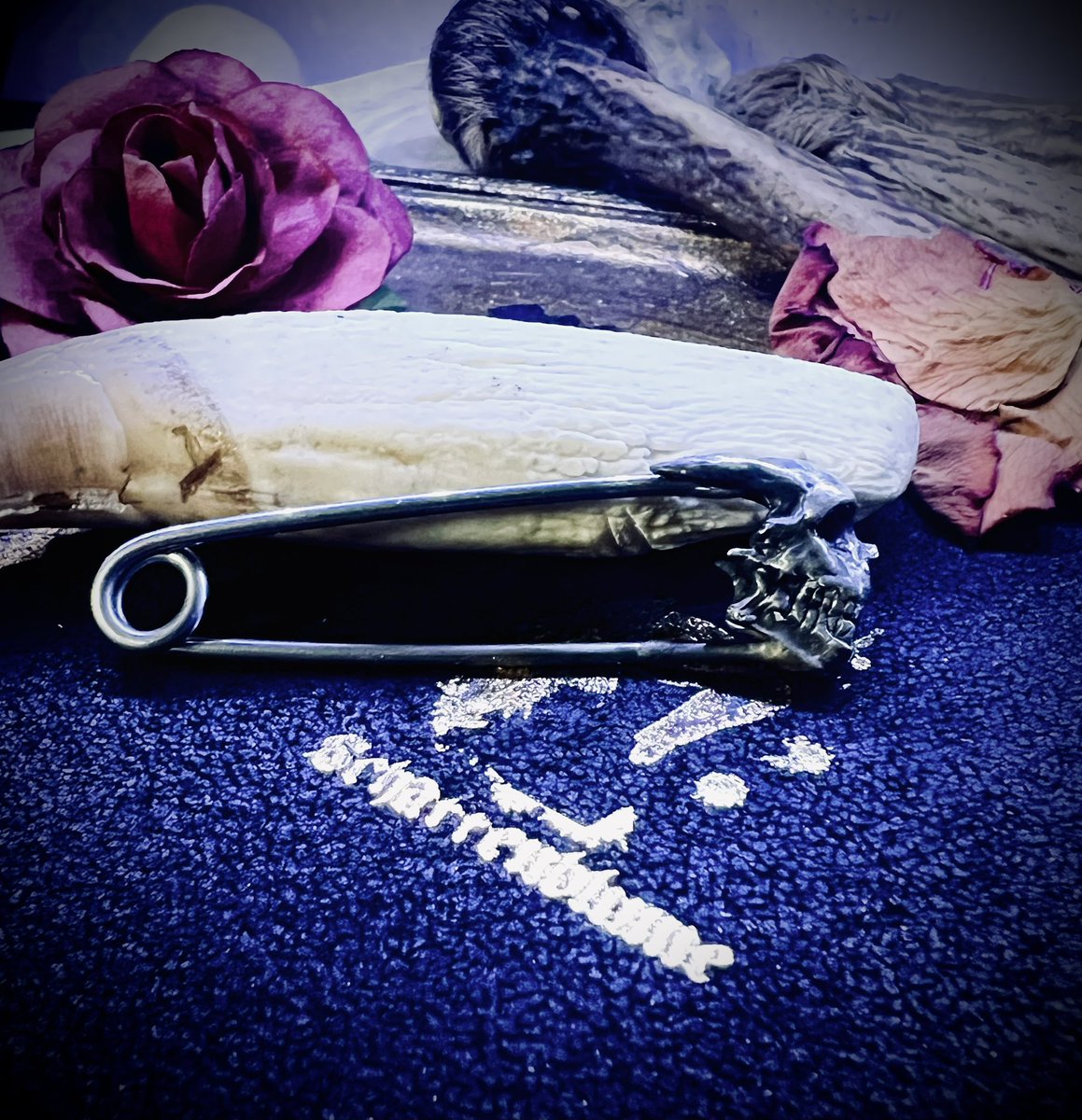 KOHLAB1's tweet photo. #schattenblume

💀スカルピン🧷 https://t.co/B3e8TgcuwM