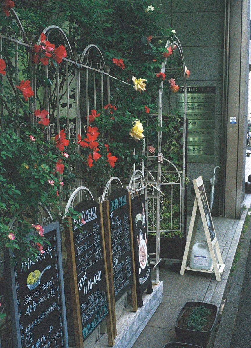 143271T's tweet photo. GWは近場で(3/3)
フィルムで遊ぶ仲間と
皆でPEN持参だった
Olympus PEN-D FUJI400
#フィルムカメラ https://t.co/ddC8uFVRoL