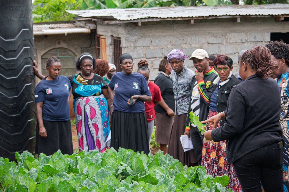 PelumKenya's tweet photo. The Kiambu Farmers’ Field Day, held on 14th May 2026 at Ruhiu’s Organic Farm, Ting’ang’a, successfully brought together over 200 farmers, policymakers, researchers, private sector players, and development partners to champion sustainable agriculture and resilient food systems. https://t.co/0RFTIVSXKd