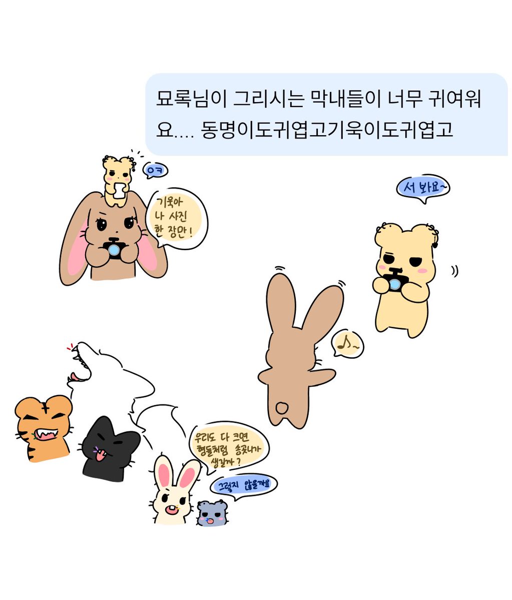 묘록 tweet media