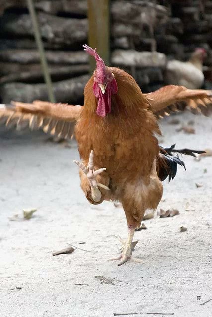 คุณหมึก tweet media