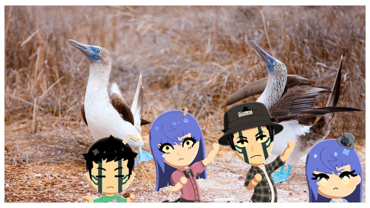 又豆力 tweet media