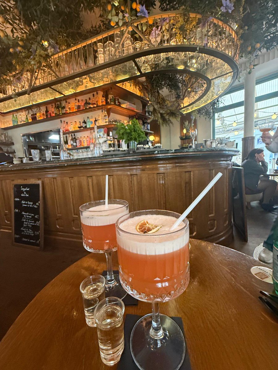 CatsCompilation's tweet photo. C'est magnifique! 🇫🇷😎🍹#Paris https://t.co/943kYHtSka