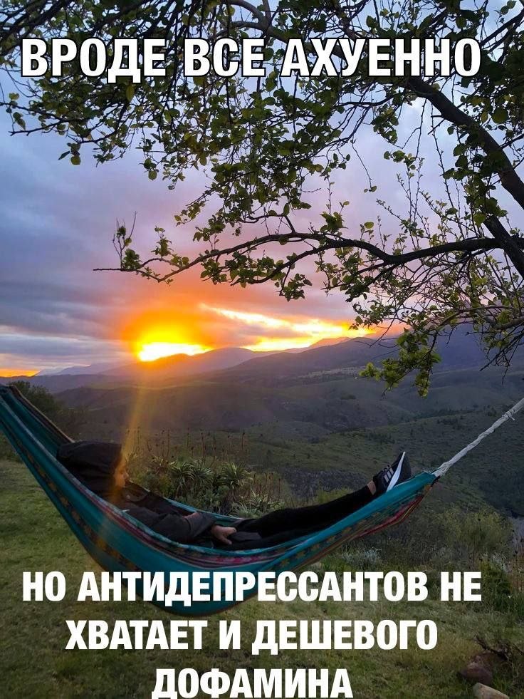 Дантес tweet media