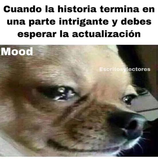 Aaaaaaaaaaa tweet media