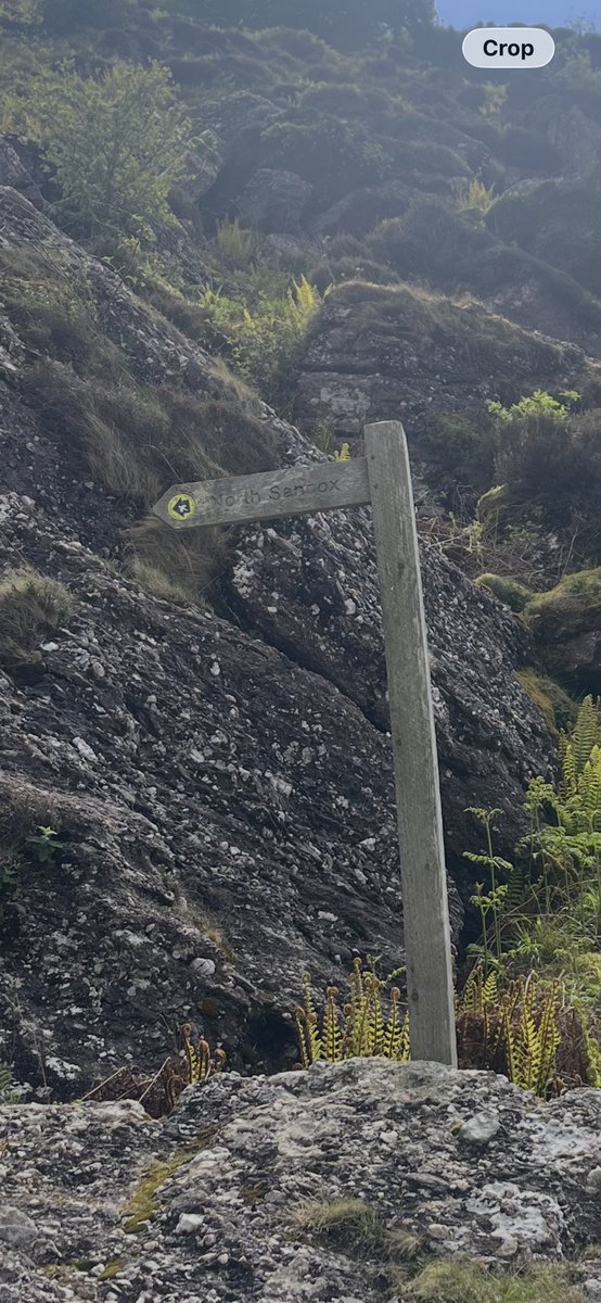 CarlClayton50's tweet photo. #fingerpost Friday https://t.co/XdgVOg6KKH